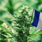 legislation-cannabis-france-obsession-addict
